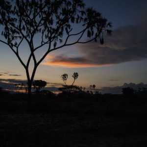 Vistas – Samburu