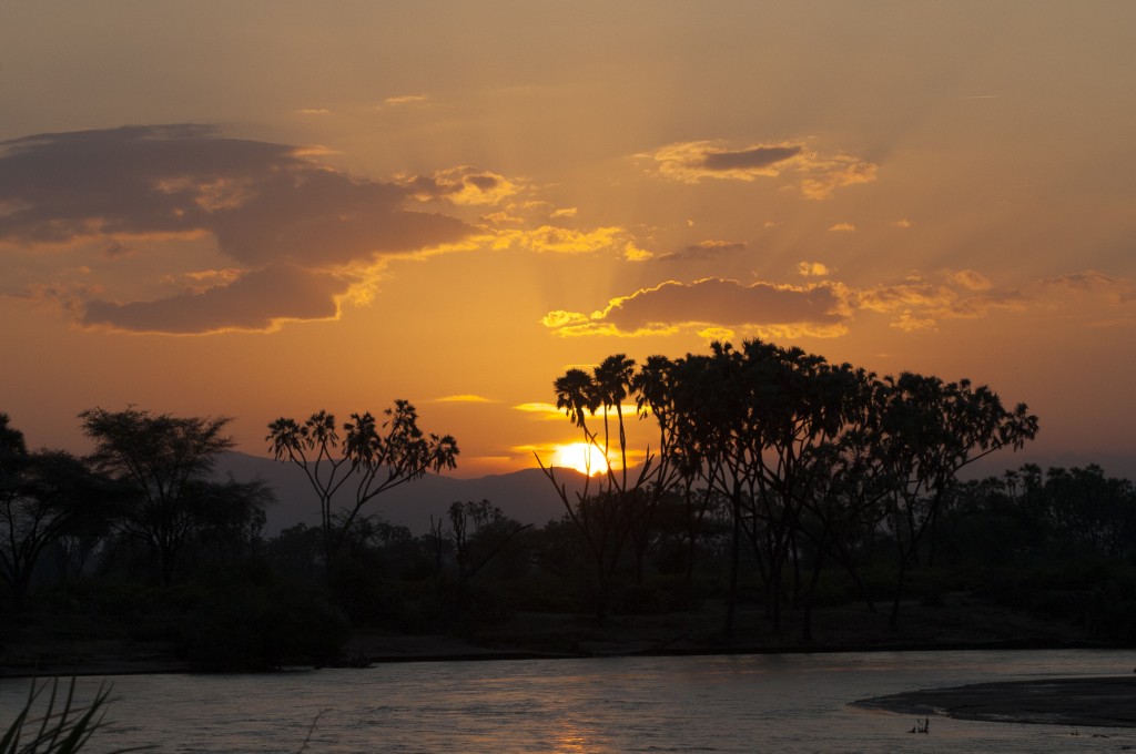 the river in the foreground looks grey and the far bank has silhouetted palm trees against an orange sky with the sun catching the edges of a few clouds